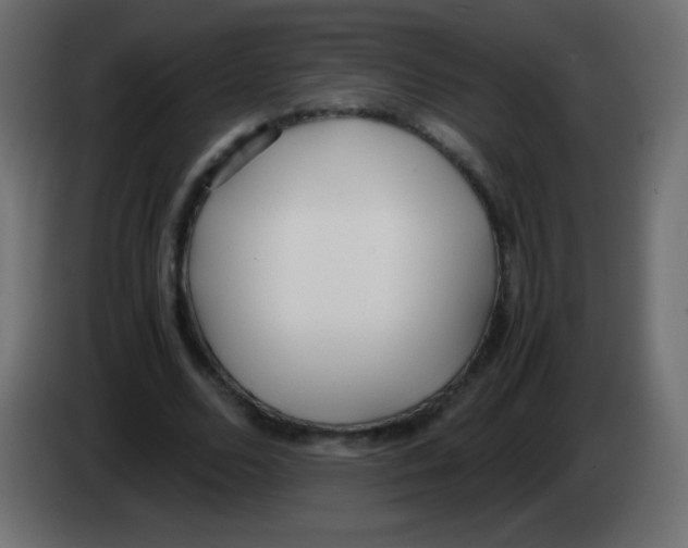 X0000083060680200703022134