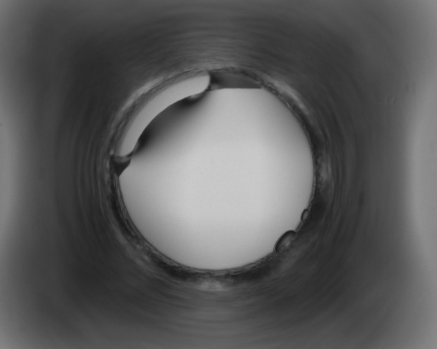 X0000083060684200703022134