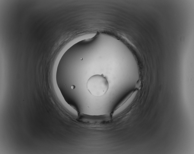 X0000083060685200703022134