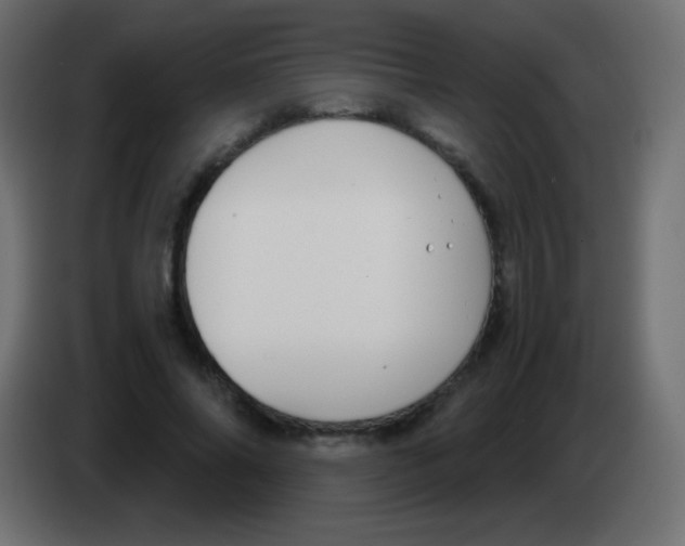 X0000083060686200703022134