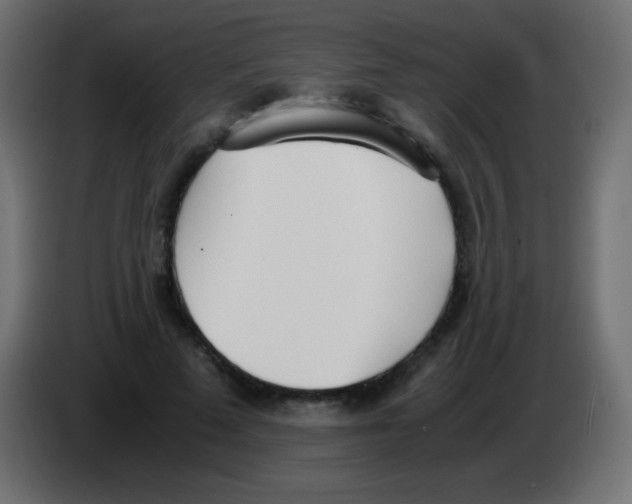 X0000083060689200703022134