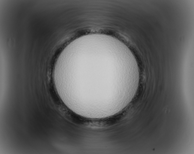 X0000083060691200703022134