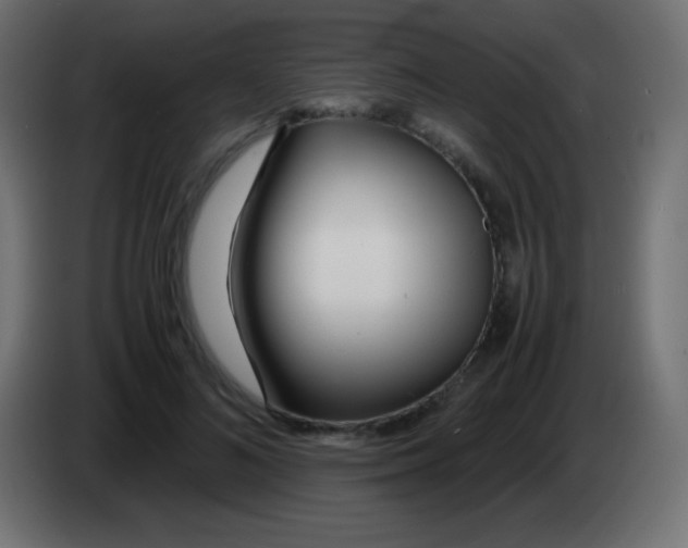 X0000083060692200703022134