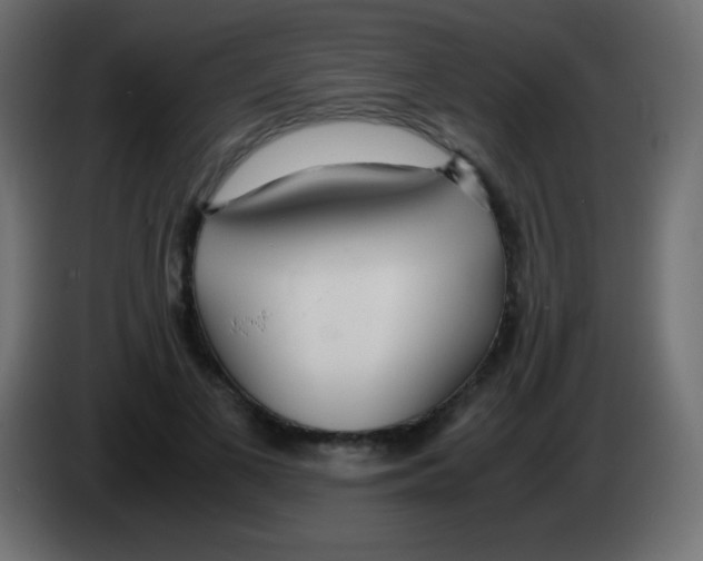 X0000083060693200703022134