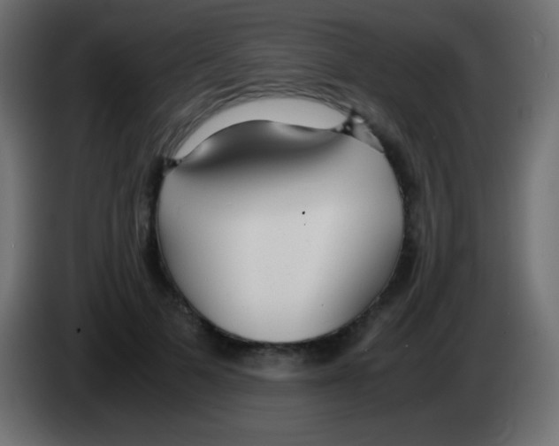 X0000083060697200703022134