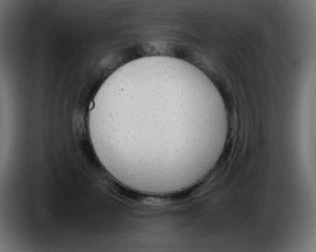 X0000083060699200703022134