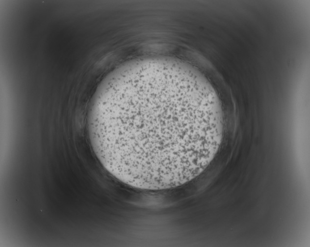 X0000083060701200703022134