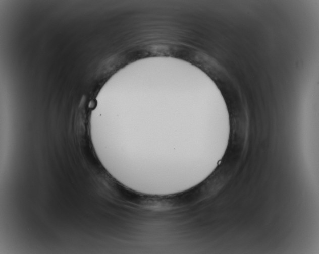 X0000083060702200703022134