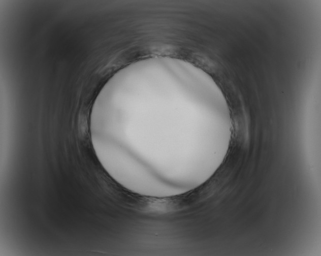 X0000083060705200703022134