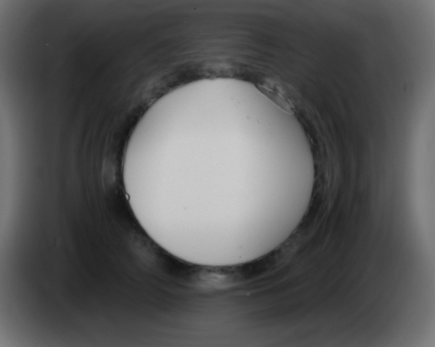 X0000083060706200703022134