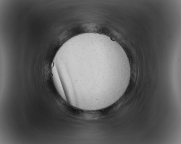 X0000083060707200703022134