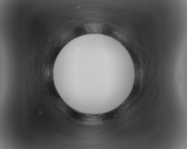 X0000083060709200703022134