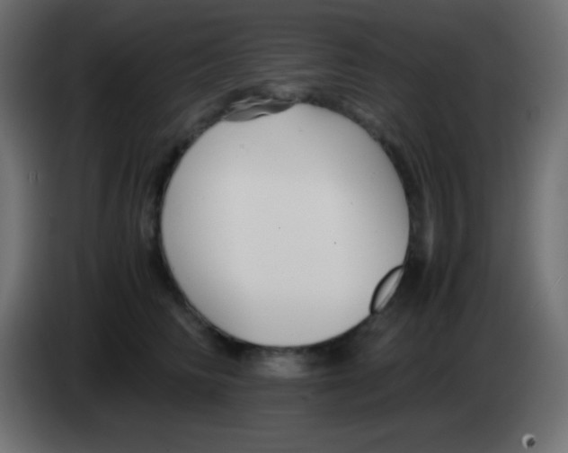 X0000083060710200703022134