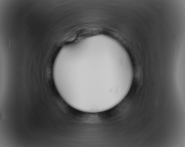 X0000083060715200703022133