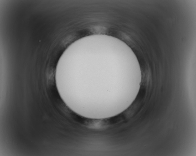 X0000083060717200703022133