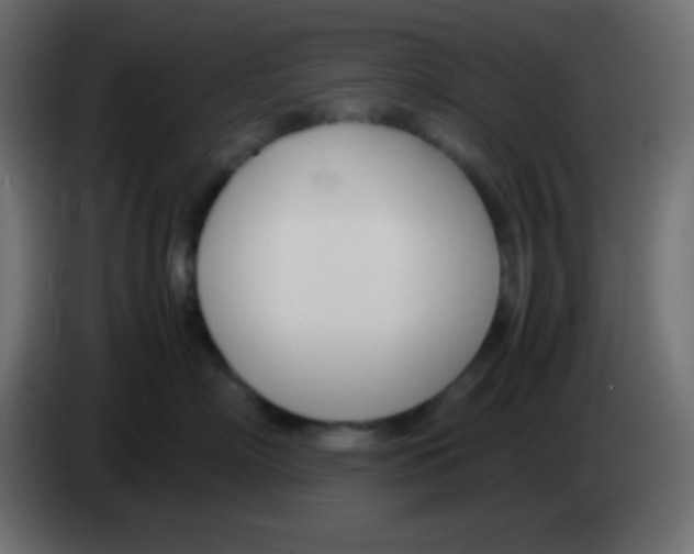 X0000083060718200703022133