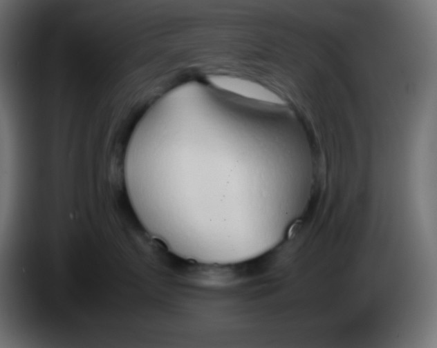 X0000083060719200703022133