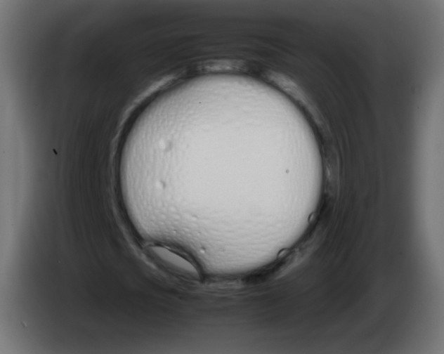 X0000083060721200703022133