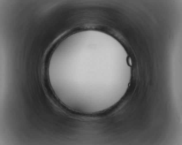 X0000083060722200703022133