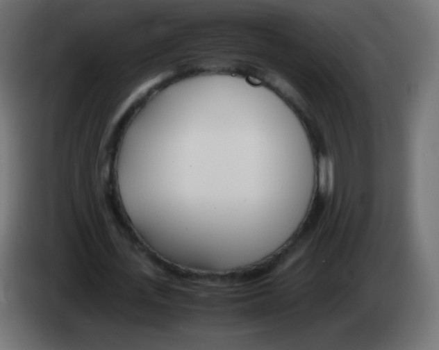 X0000083060723200703022133