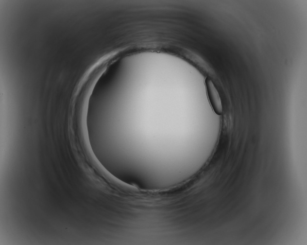 X0000083060724200703022133