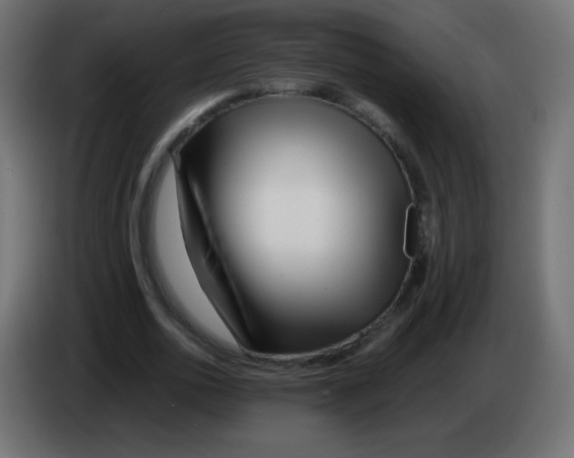 X0000083060726200703022133