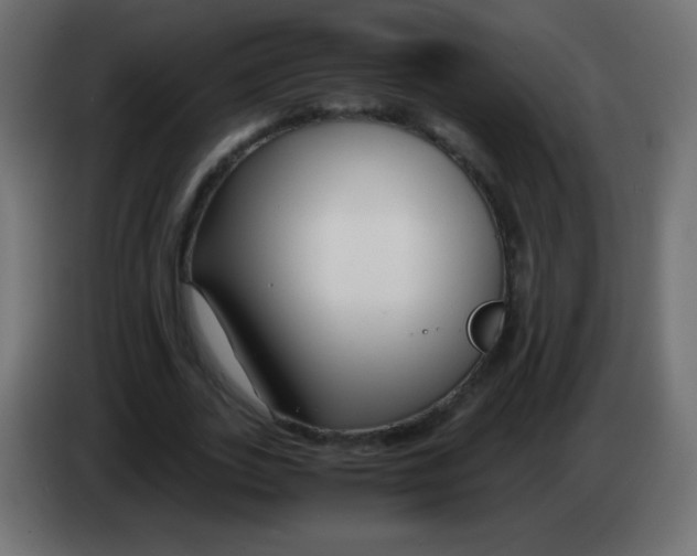 X0000083060727200703022133