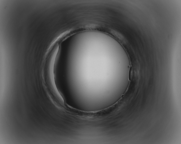 X0000083060728200703022133