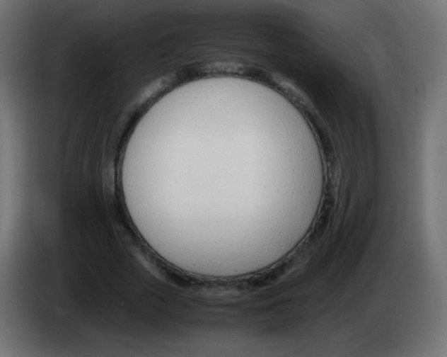 X0000083060729200703022133