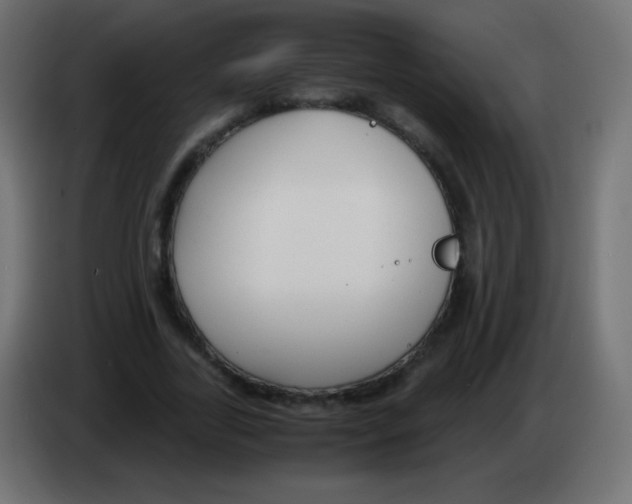 X0000083060731200703022133