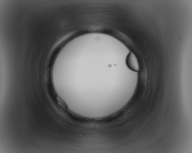 X0000083060732200703022133