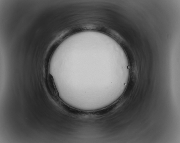 X0000083060734200703022133