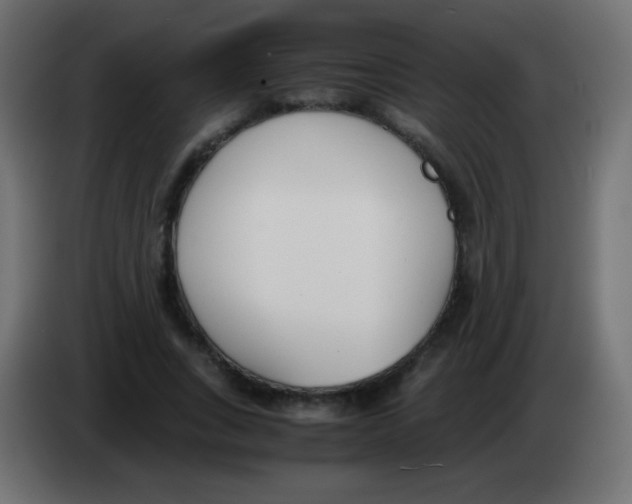 X0000083060735200703022133