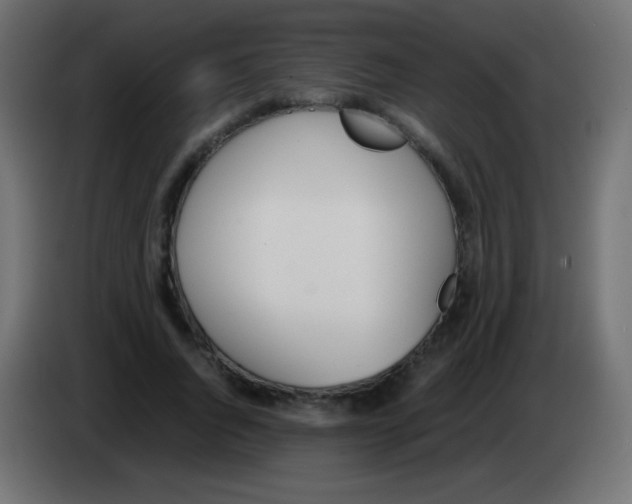 X0000083060736200703022133