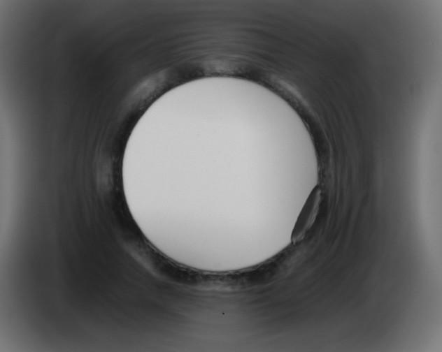 X0000083060738200703022133