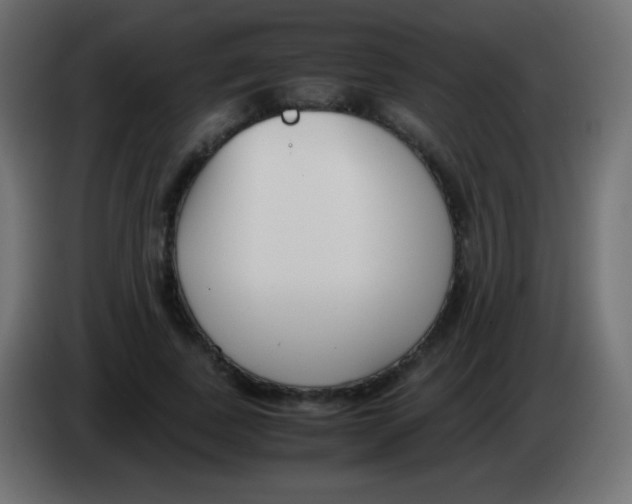 X0000083060739200703022133