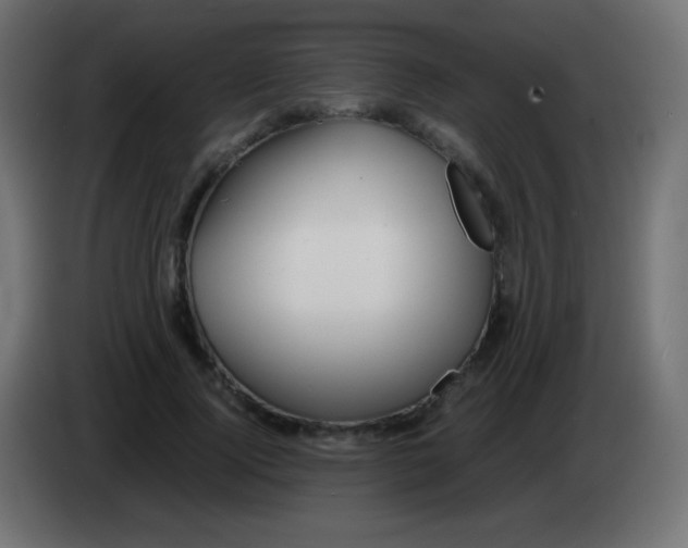 X0000083060740200703022133