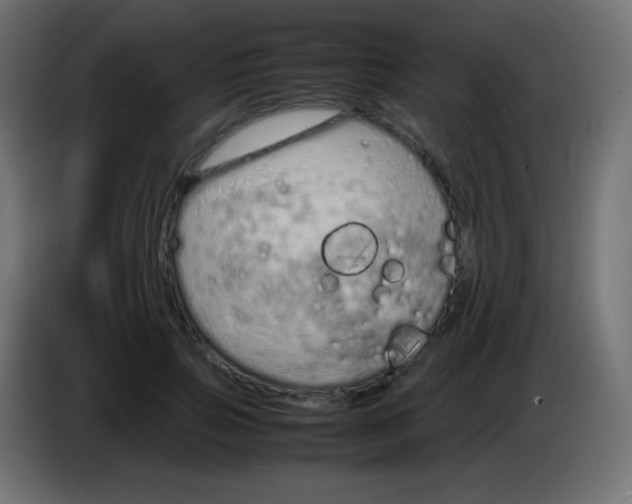 X0000083060741200703022133