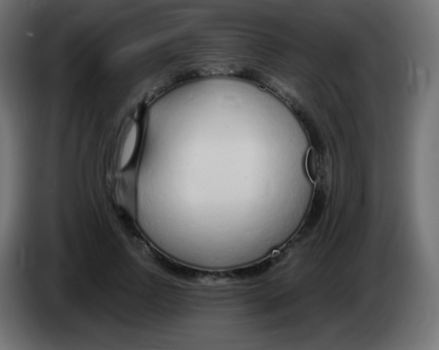 X0000083060742200703022133