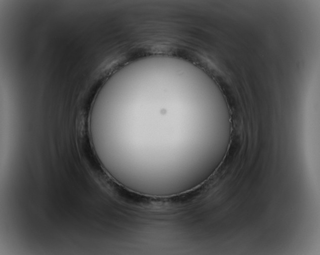 X0000083060744200703022133