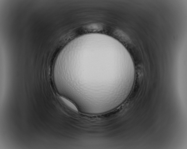 X0000083060745200703022133