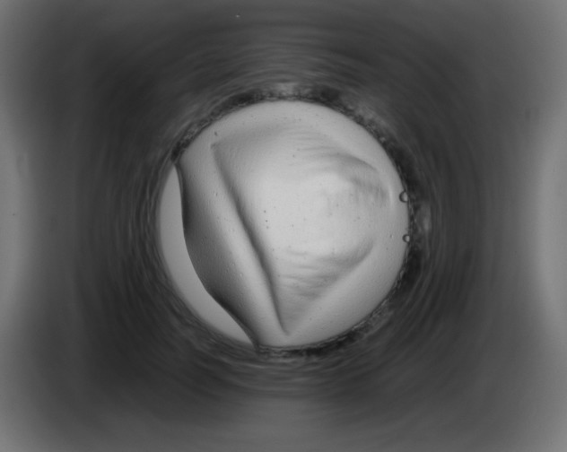 X0000083060746200703022133