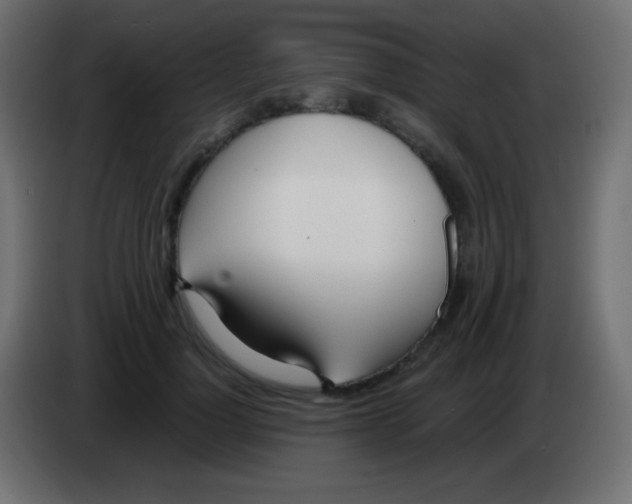 X0000083060748200703022133