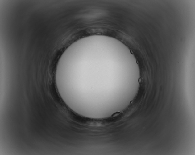 X0000083060751200703022133