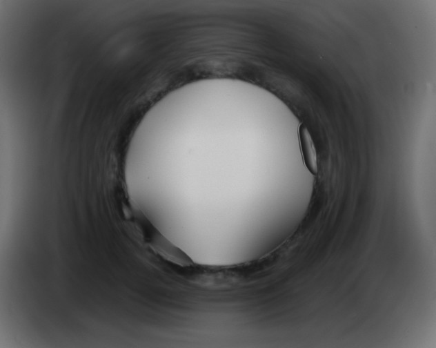 X0000083060752200703022133