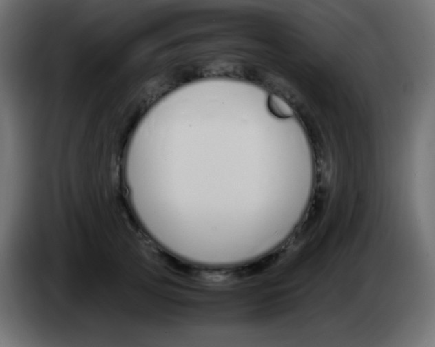 X0000083060753200703022133