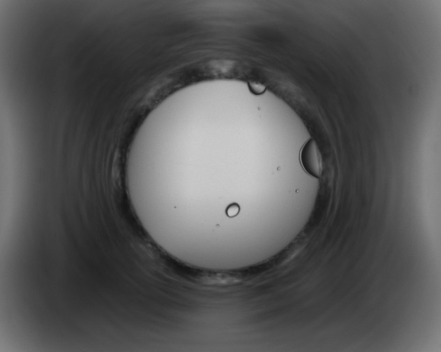 X0000083060754200703022133