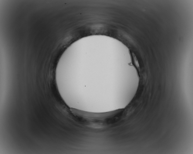 X0000083060756200703022133