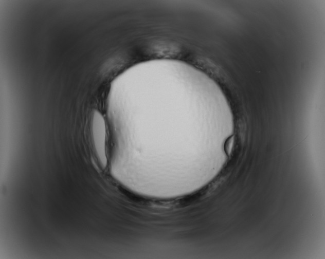 X0000083060757200703022133