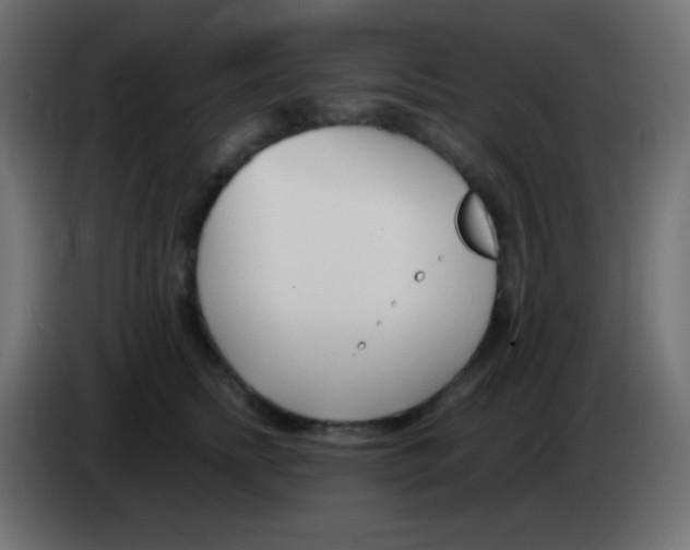 X0000083060758200703022133